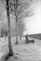 Набережная  зимой. 1960-е годы.