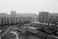 Вид с дома № 22 по ул. Тимме во двор. Июнь 1976 года