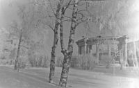 В городском парке