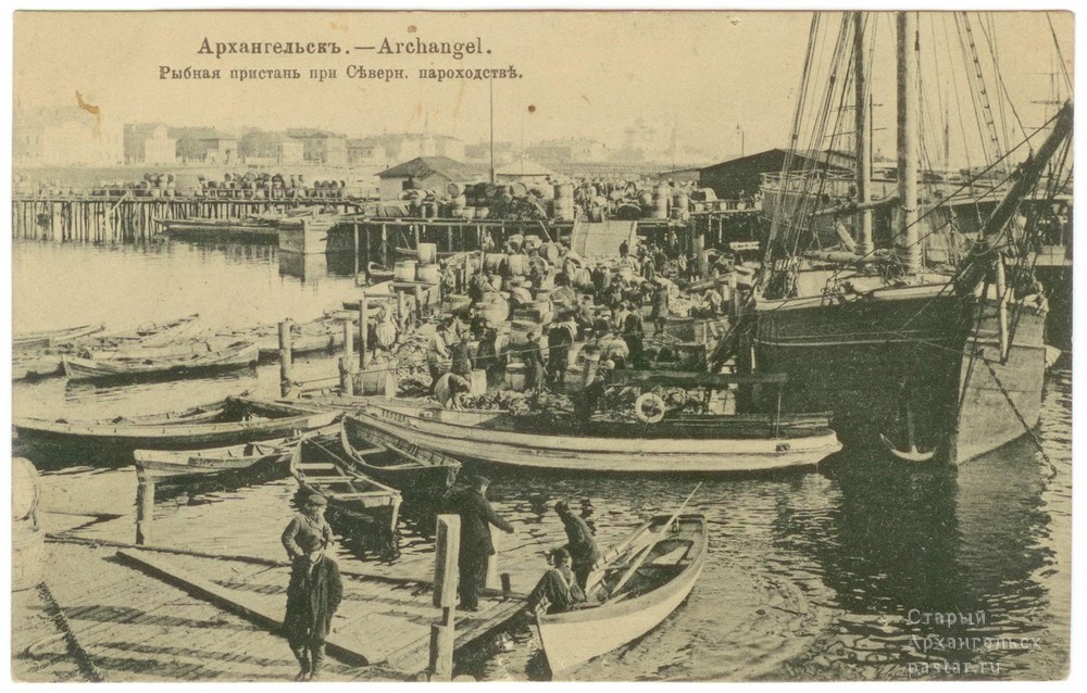7994 02 image1
