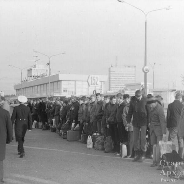 На картошку