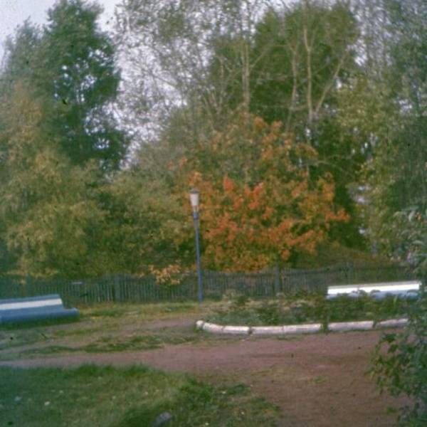 Парк у памятника Петру I