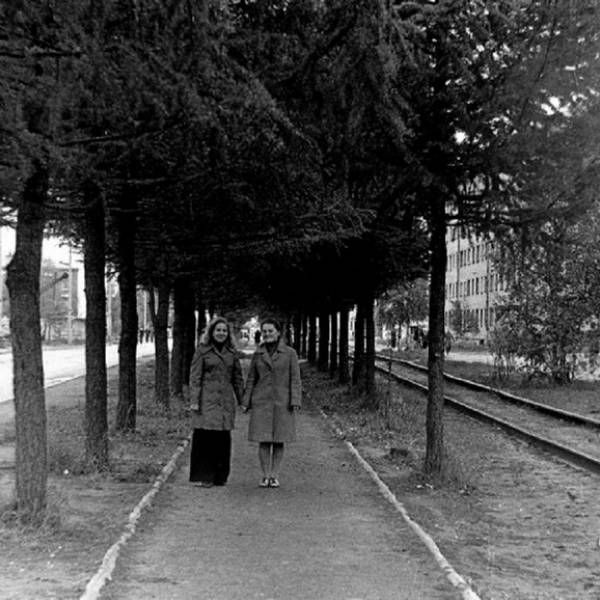 Лиственничная аллея на Суворова. 1974 год