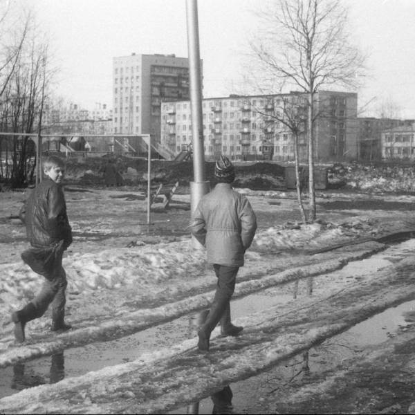 Двор дома Ленинградский, 273, к.1 